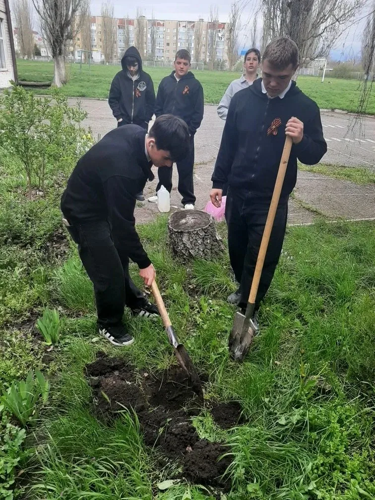 🌱 Вечная память — в каждом ростке  Обучающиеся МБОУ СОШ № 4 стали частью Всероссийской патриотическо