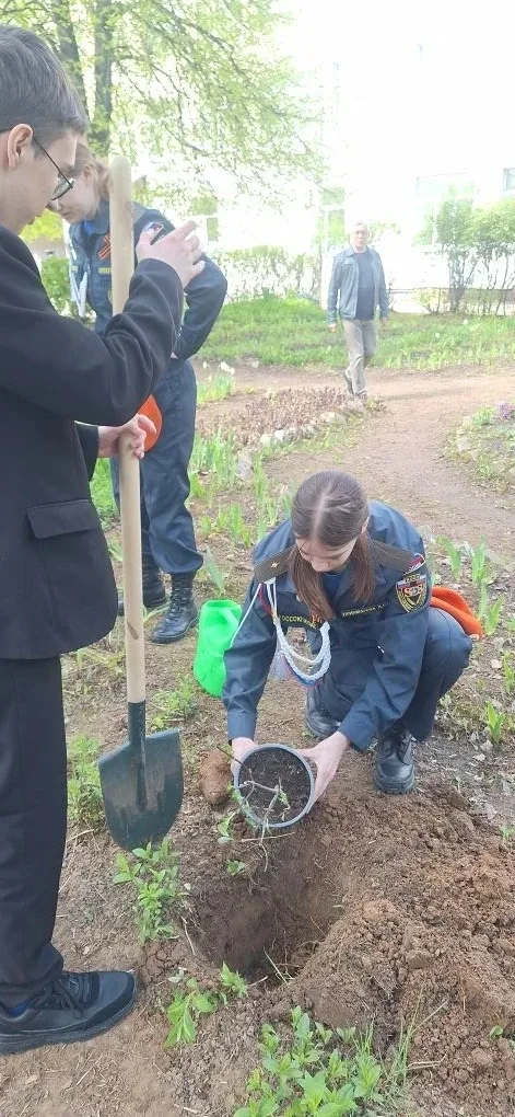 Доброе дело всегда значимо, а если оно ещё имеет продолжение, то оно важно вдвойне.  Учащиеся 11 кла