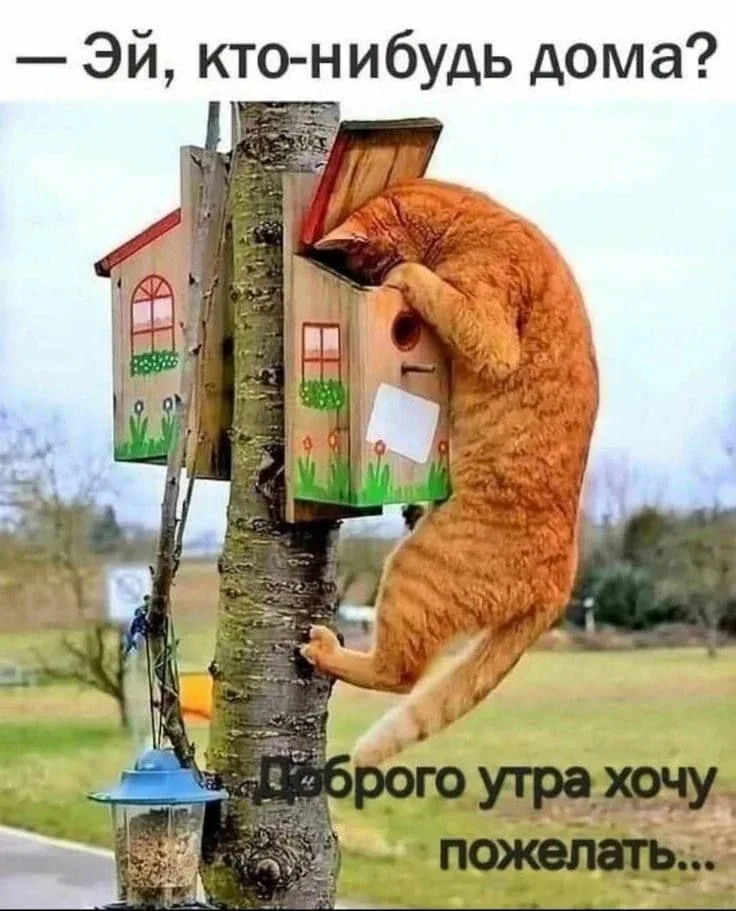 С добрым утром! Всем позитивного настроения! ☺️  Я - Пенсионер✅