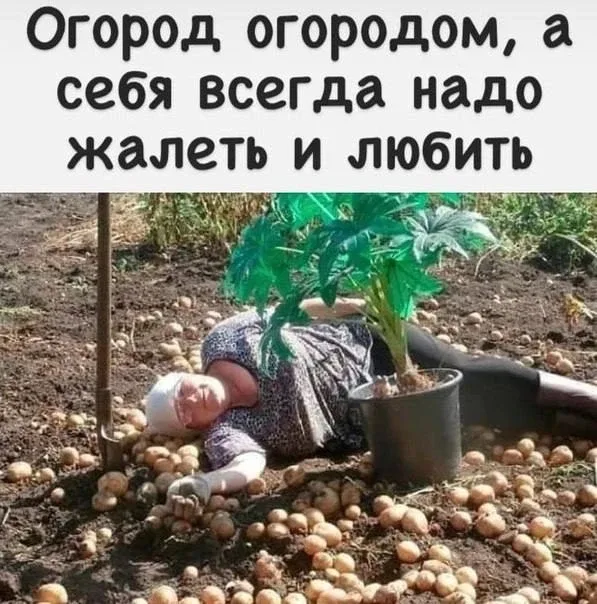 Огород огородом, а мы не вечные💕  Я - Пенсионер✅