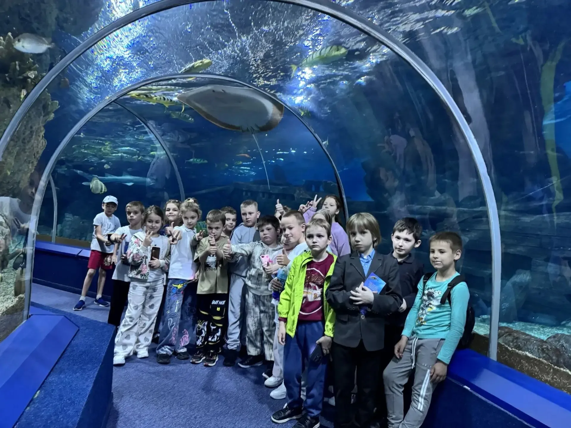 🐬Учащиеся 1К класса посетили океанариум. Ребята познакомились с обитателями океанов, узнали, чем пит