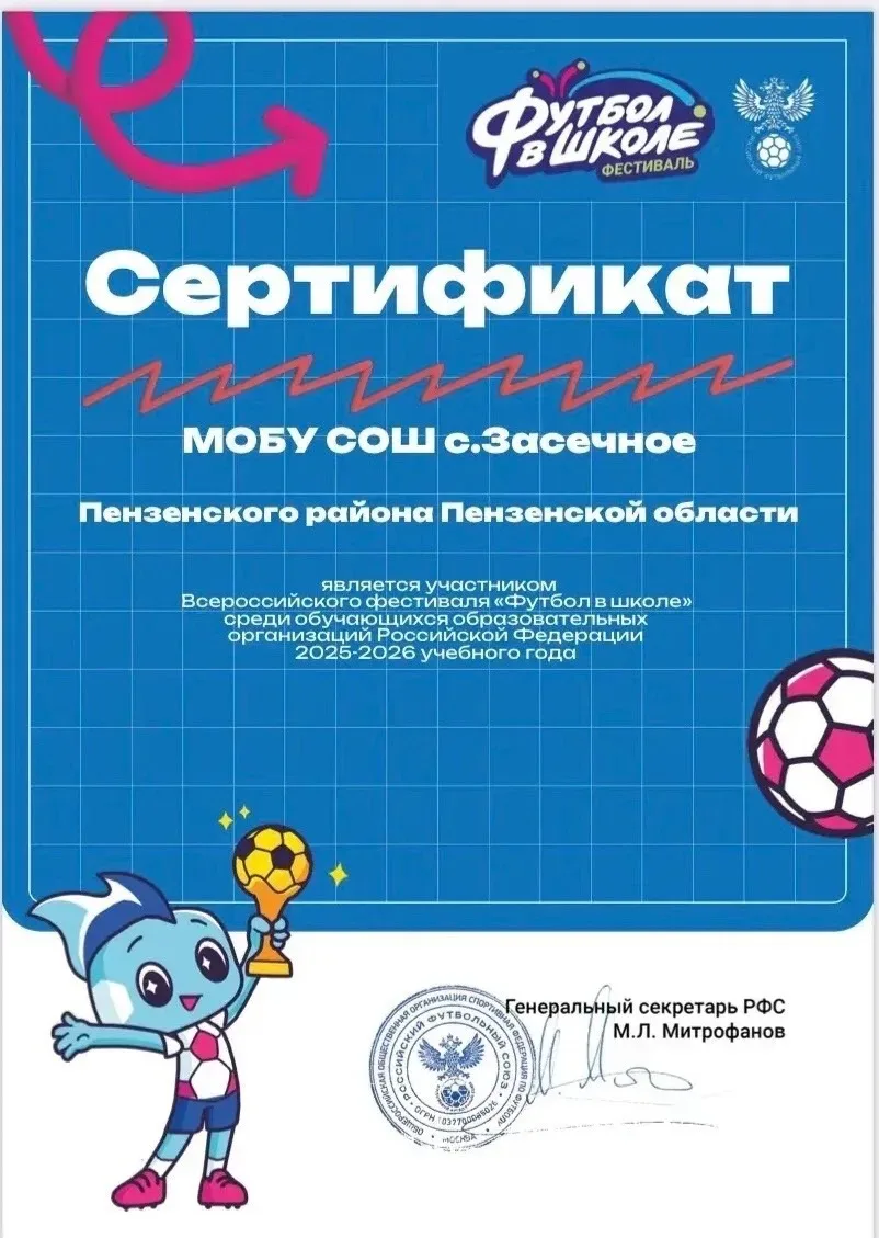 Школа с. Засечное: Большие итоги участия во Всероссийском Фестивале « Футбол в школе» В этом году на