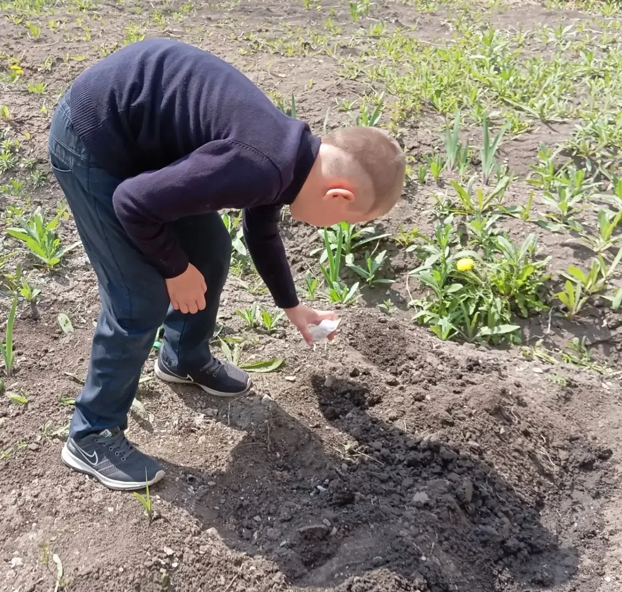 🌱 Наш помощник — огород! 🌱  Ребята 2 «В» класса уже вовсю готовятся к новому огородному сезону!  Мы 