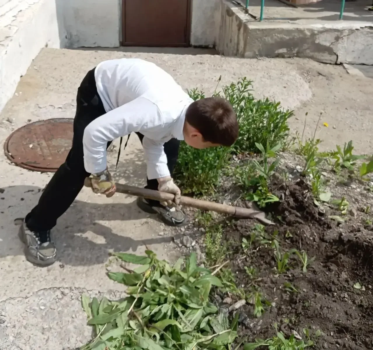 🌱 Наш помощник — огород! 🌱  Ребята 2 «В» класса уже вовсю готовятся к новому огородному сезону!  Мы 