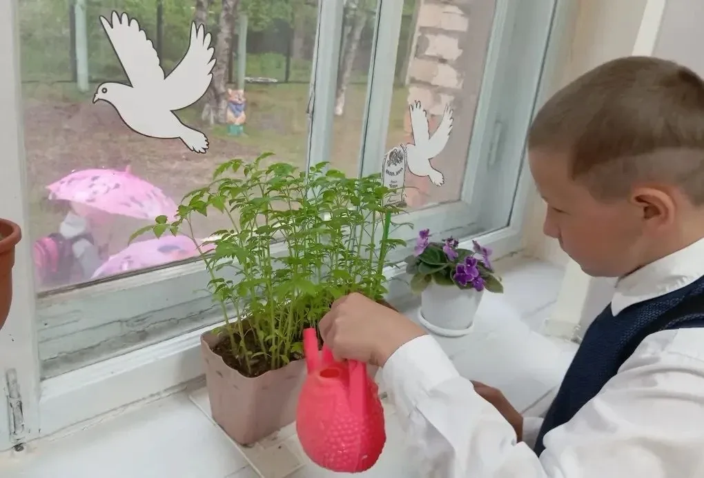 🌱 Наш помощник — огород! 🌱  Ребята 2 «В» класса уже вовсю готовятся к новому огородному сезону!  Мы 
