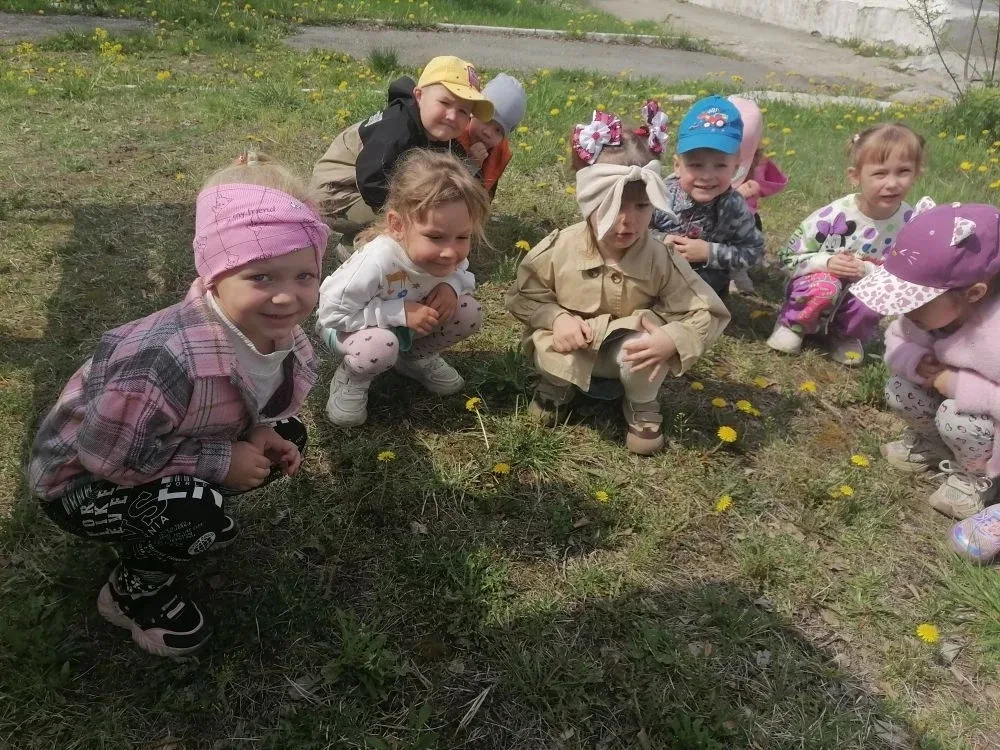 13 мая отмечается Международный день одуванчика. Именно этот весёлый жёлтый цветочек является одним 