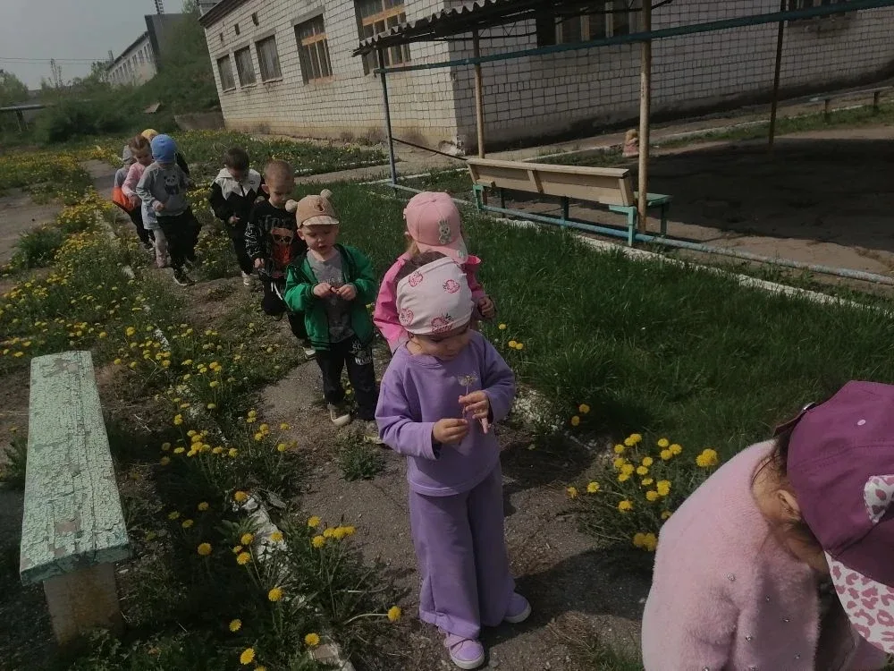 13 мая отмечается Международный день одуванчика. Именно этот весёлый жёлтый цветочек является одним 