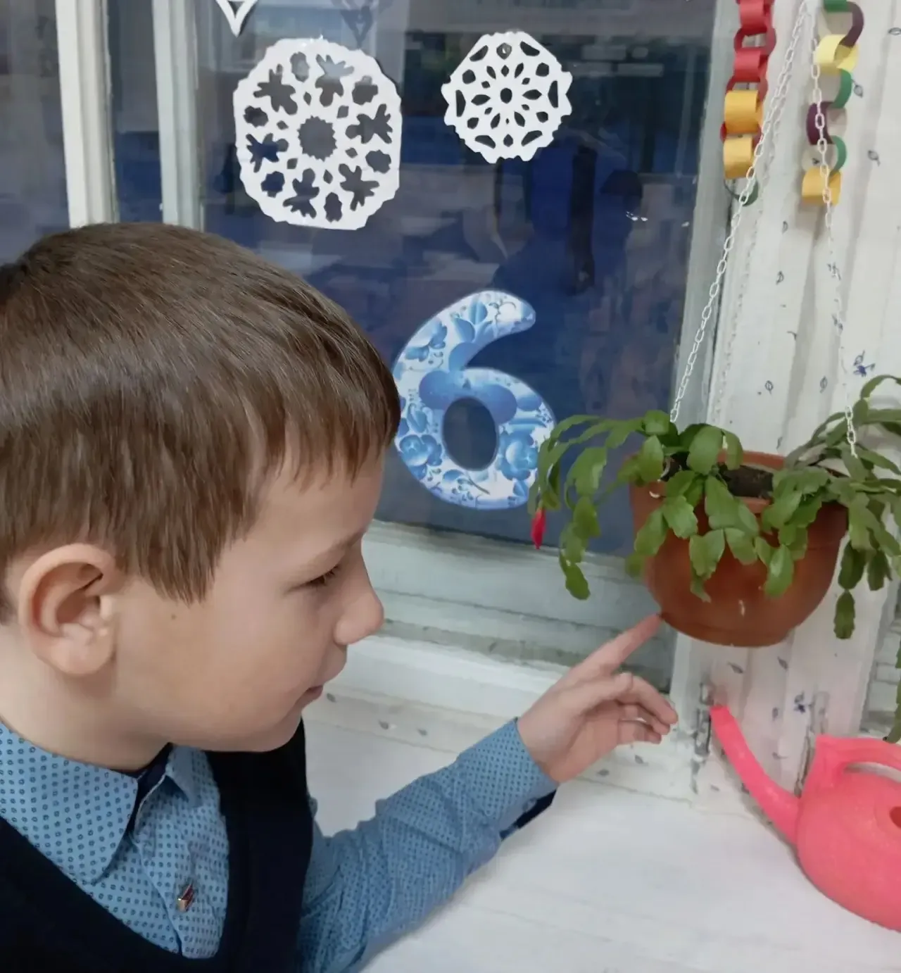 🌱Как Мирон вырастил рождественник: история одного эксперимента  🌿Весной прошлого года группа ребят 2