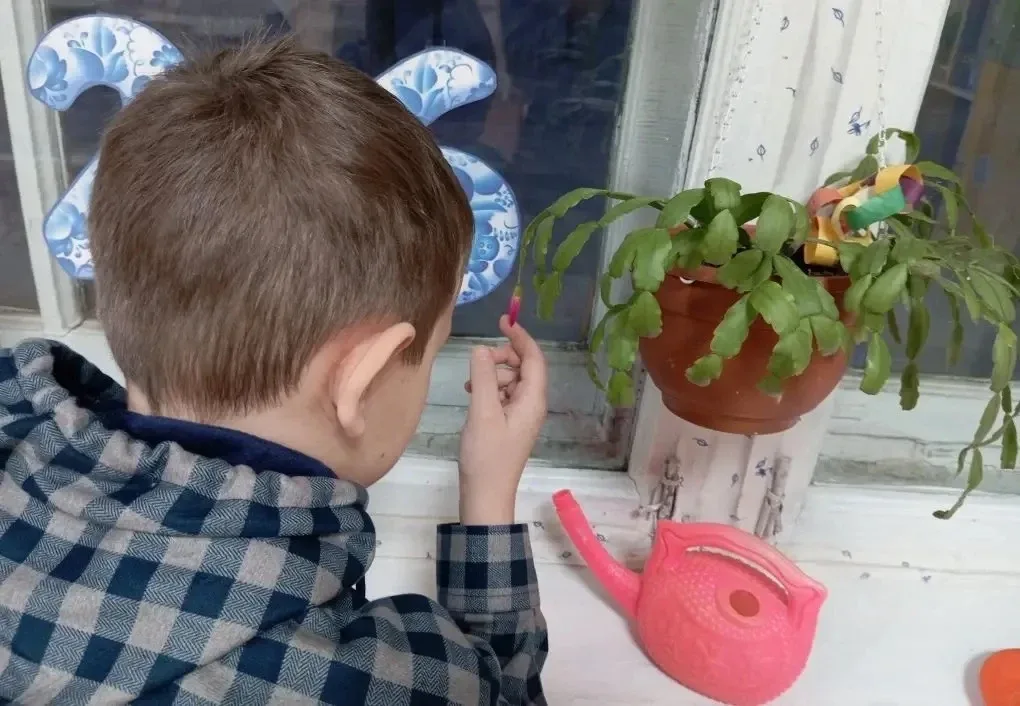 🌱Как Мирон вырастил рождественник: история одного эксперимента  🌿Весной прошлого года группа ребят 2