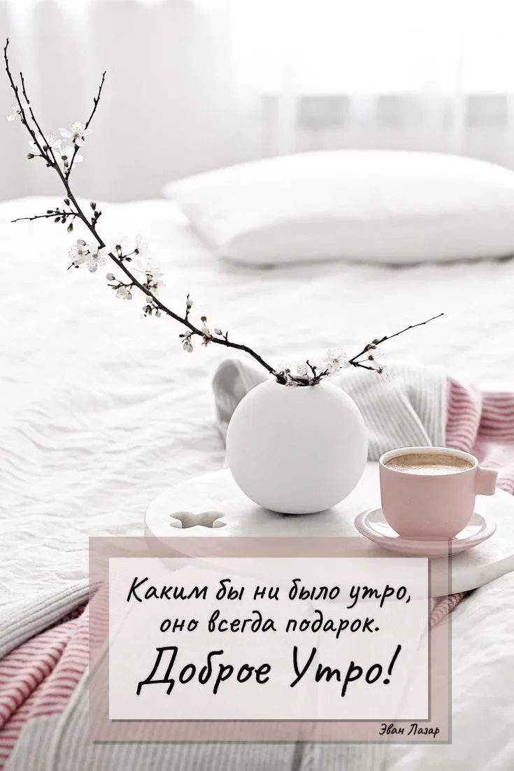 🔆 Хорошего дня!   🇷🇺Официальный сайт администрации   🏛 Глава администрации Волновахского МО 💬 Глава 