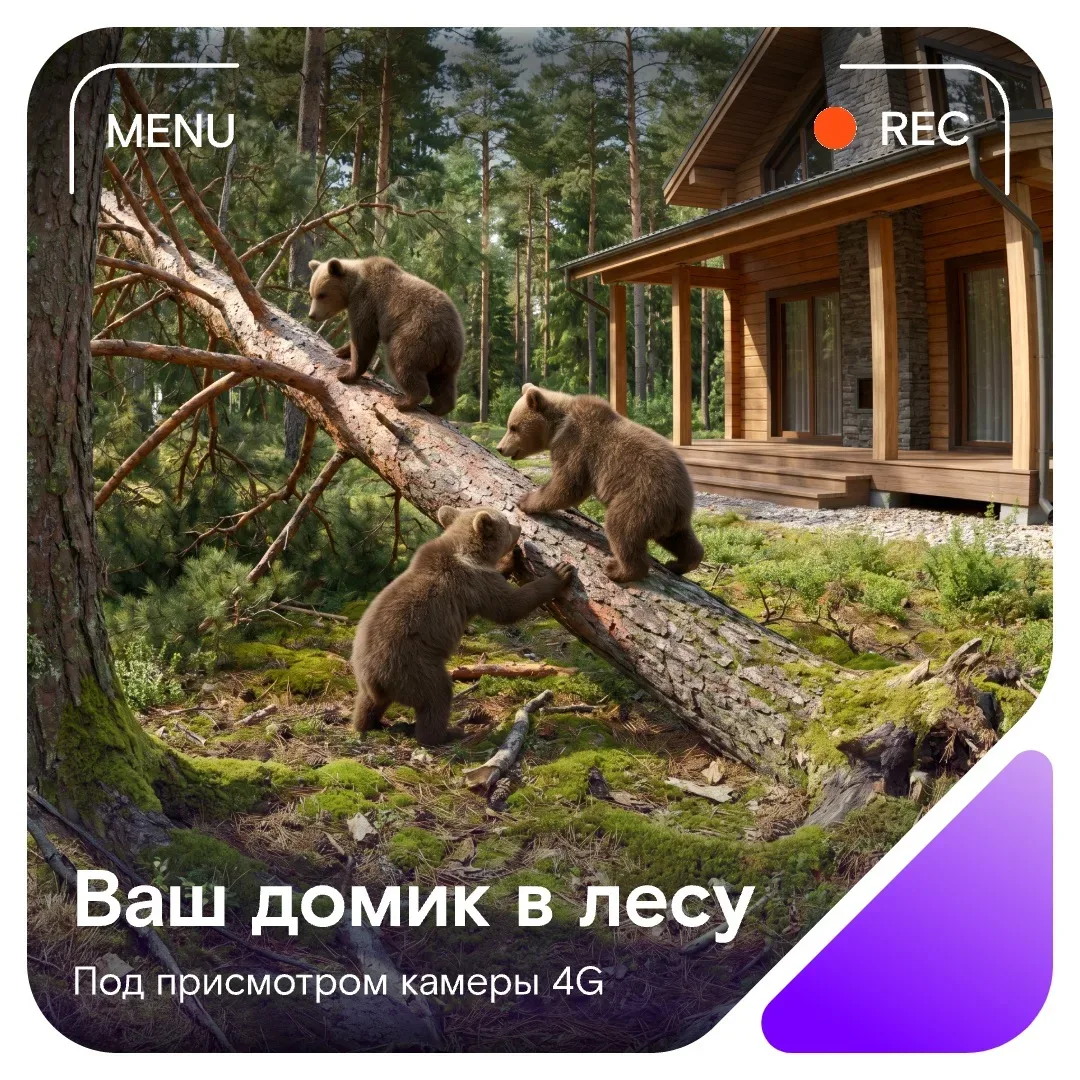 Лес глухой, а запись отличная!   Мечтаете о домике в лесу, где ваши соседи — медведи, а вместо город
