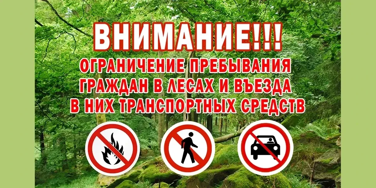 В Ростовской области с 22 мая вводится запрет на посещение лесов  В связи с повышенной пожарной опас