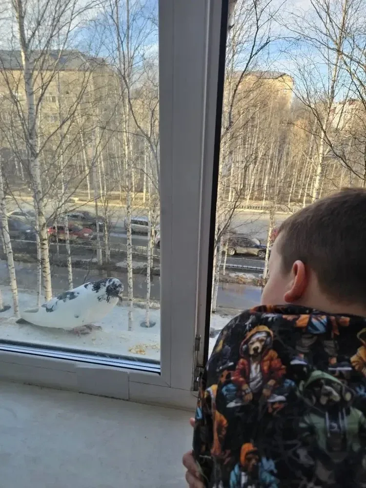 🐦ПЕРНАТЫЙ ДРУГ  Наши юные эколята всегда в деле! Вот и МАКСИМ ПАШИЛОВ, ученик 1А класса, нашёл себе 