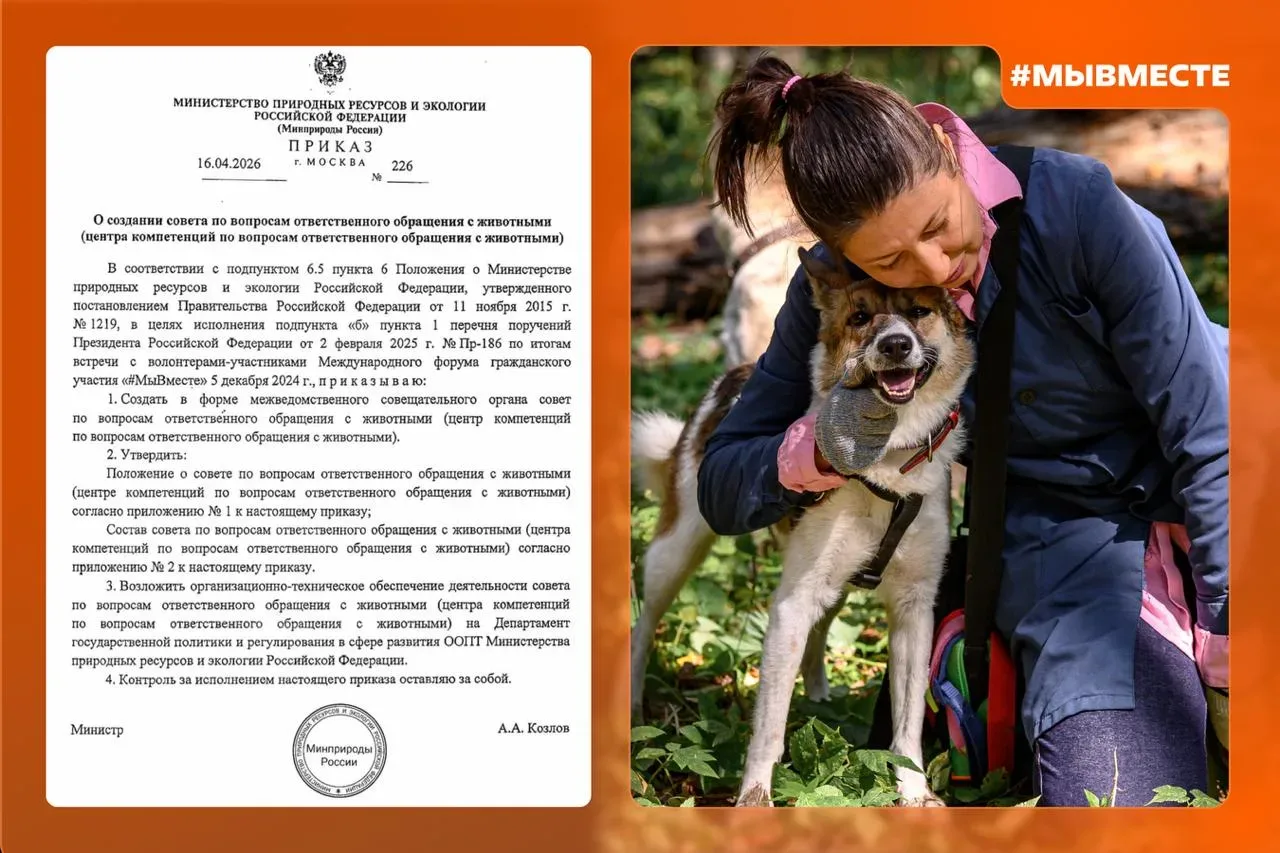 Создан Совет по вопросам ответственного обращения с животными  Его учредили по итогам Форума #МЫВМЕС