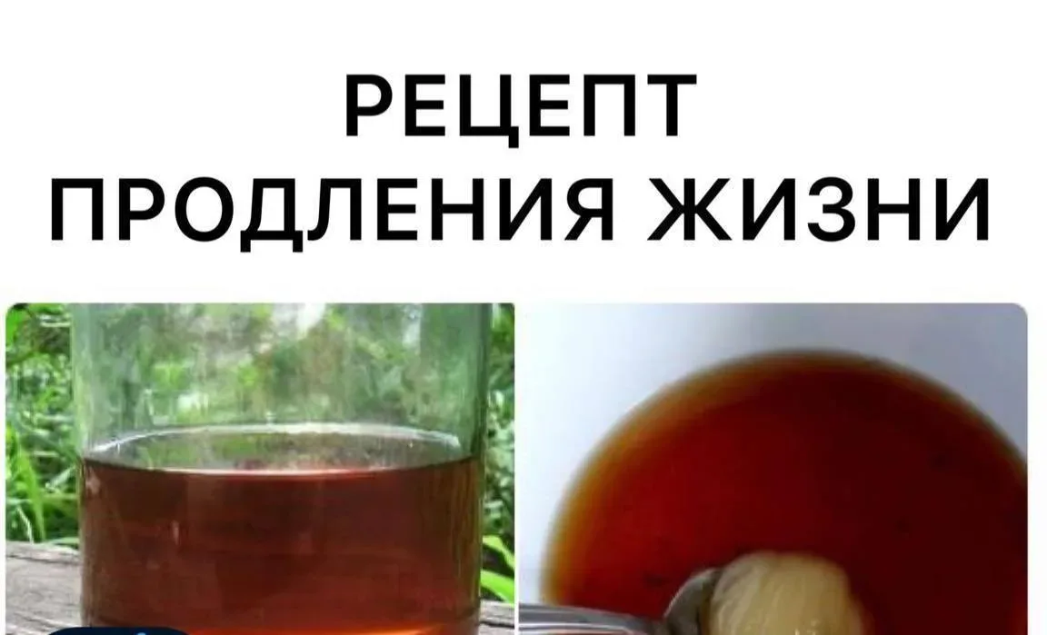🫧Рецепт продления жизни! ⠀ 100 г ромашки 100 г зверобоя 100 г бессмертника 100 г березовых почек ⠀ 🌿