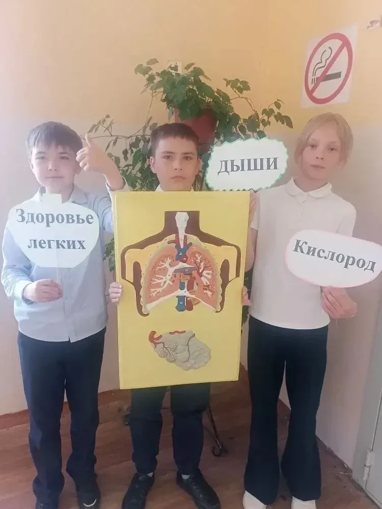 🌿 Необычные экоуроки прошли в Челябинской области!🌿   В рамках федерального проекта «Чистый воздух» 