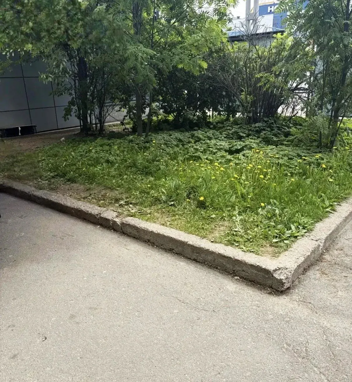 ⚔️ Незаконная торговля пресечена в трех районах Петербурга  Сотрудниками Комитета проведены плановые