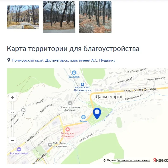 Присоединяйтесь к голосованию   Почти 3,5 тысячи дальнегорцев уже отдали свой голос за общественную 