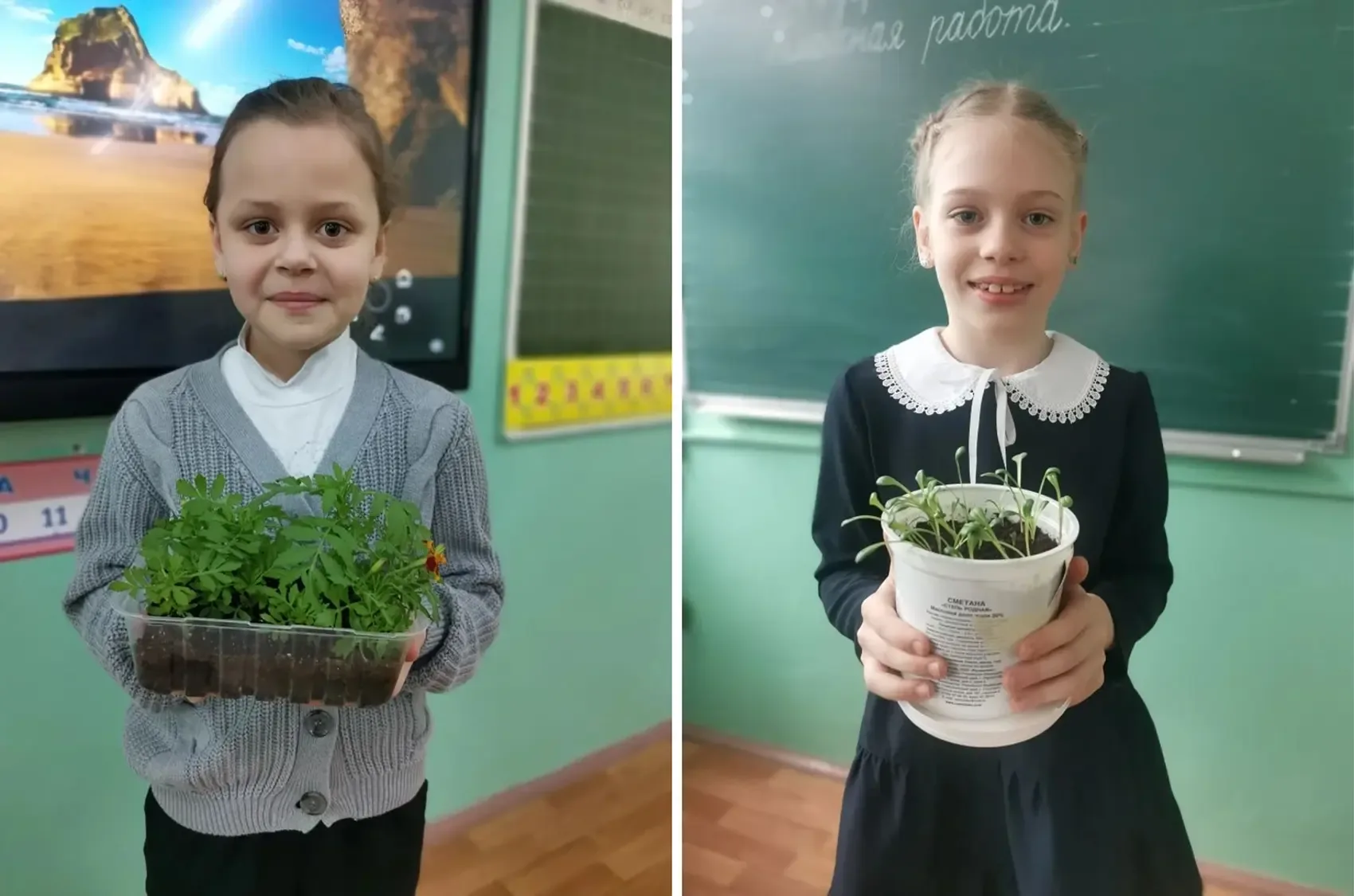🌱 Орлята-экологи  Сегодня ученики 1а класса передали рассаду цветов Валентине Михайловне Немцовой, к