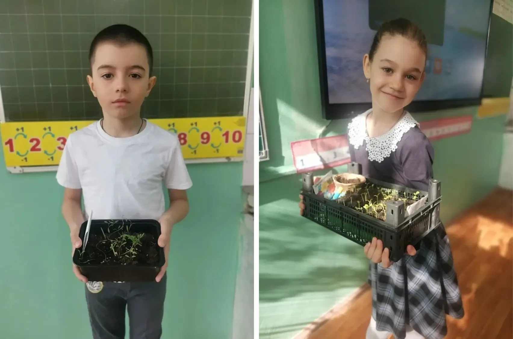 🌱 Орлята-экологи  Сегодня ученики 1а класса передали рассаду цветов Валентине Михайловне Немцовой, к