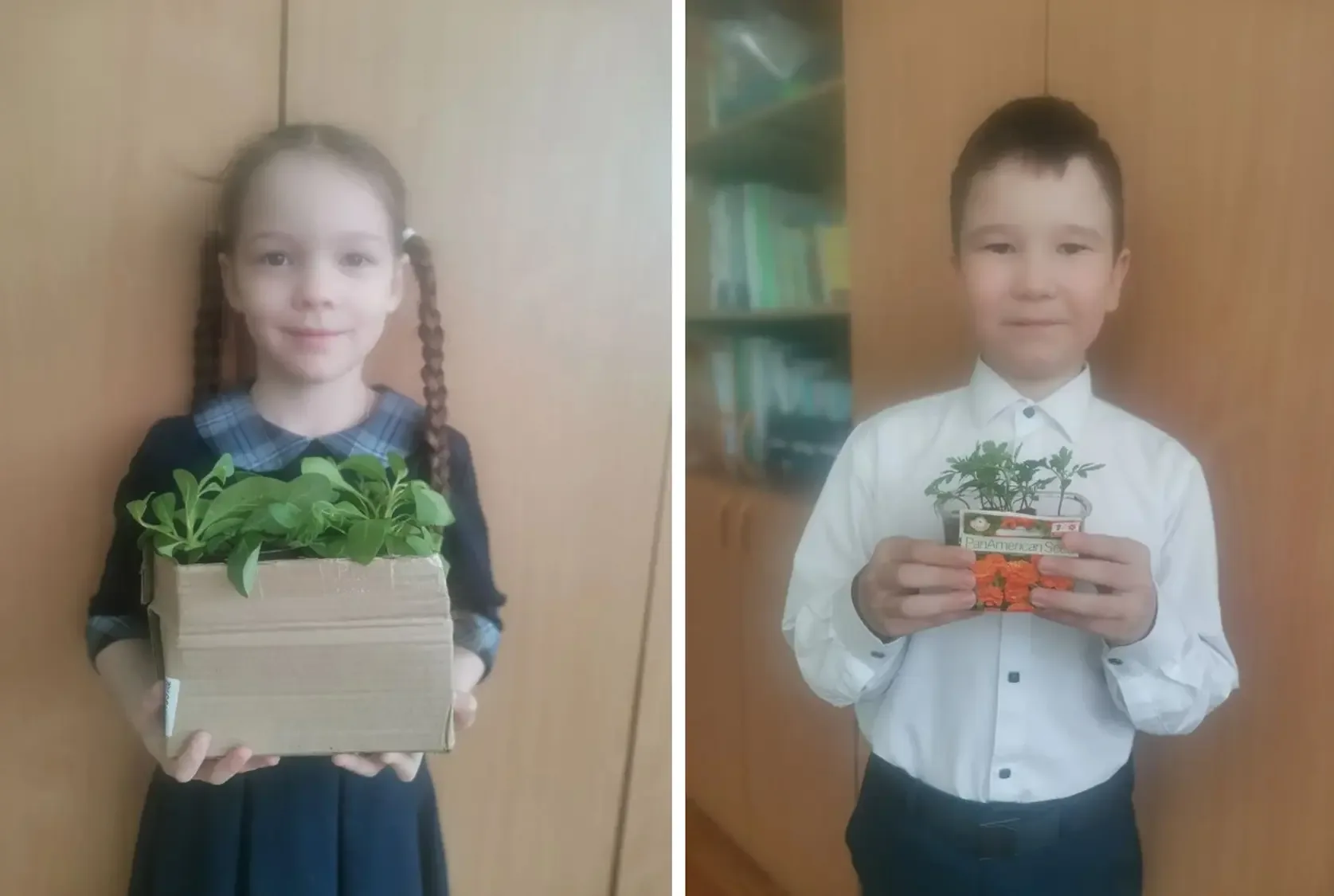 🌱 Орлята-экологи  Сегодня ученики 1а класса передали рассаду цветов Валентине Михайловне Немцовой, к