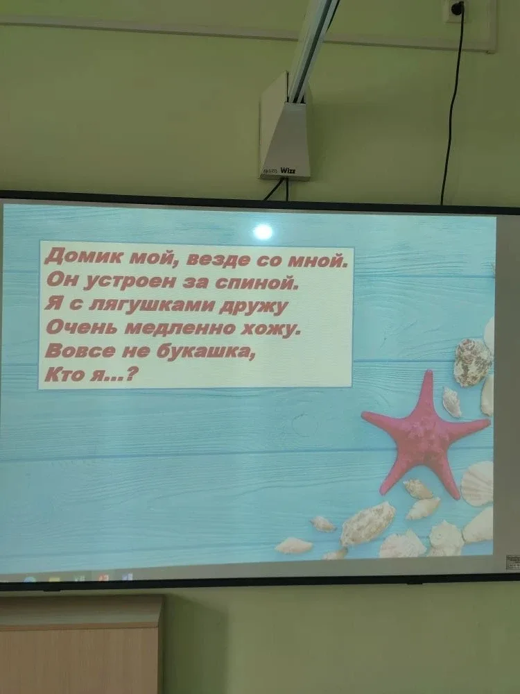 🐢 19-го мая в 1Д классе (кл. Руководитель Егорушкина Т.Н.) прошел познавательный классный час "Панци