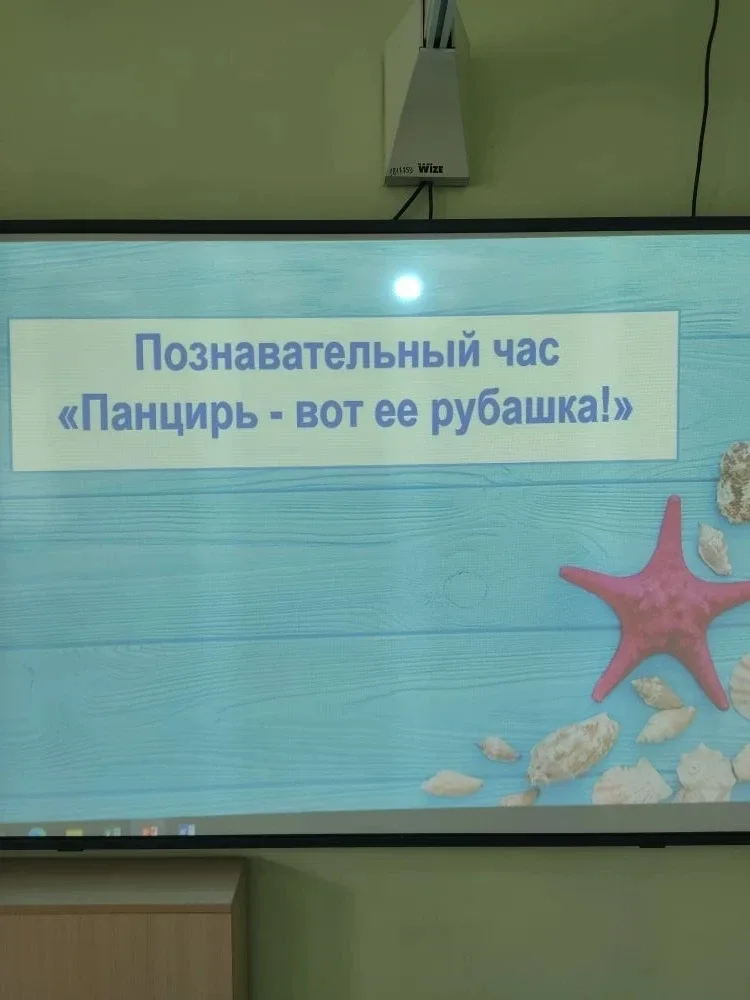 🐢 19-го мая в 1Д классе (кл. Руководитель Егорушкина Т.Н.) прошел познавательный классный час "Панци