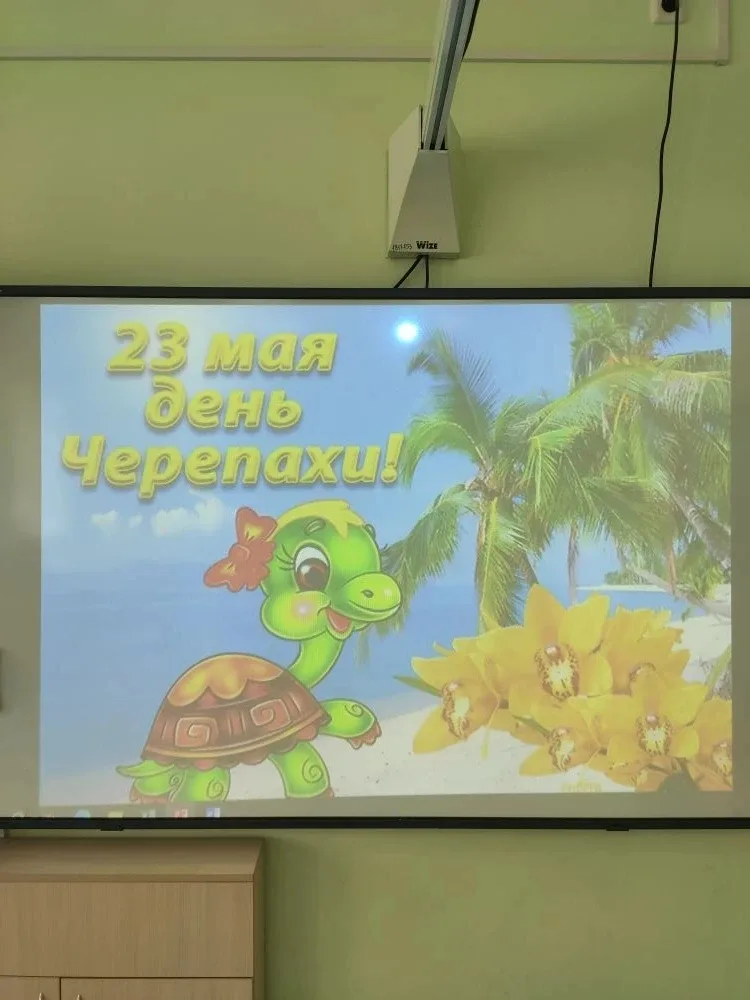 🐢 19-го мая в 1Д классе (кл. Руководитель Егорушкина Т.Н.) прошел познавательный классный час "Панци