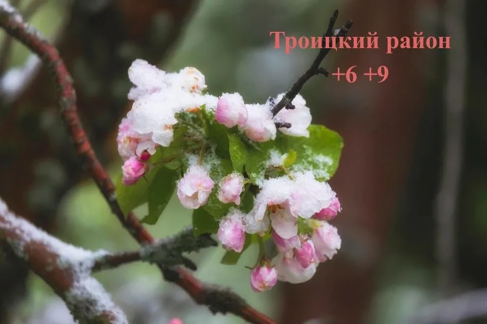 Доброе утро, земляки!  С НАЧАЛОМ ОЧЕРЕДНОЙ РАБОЧЕЙ НЕДЕЛИ.  ☀️Еще пара недель – и наступит лето. А п