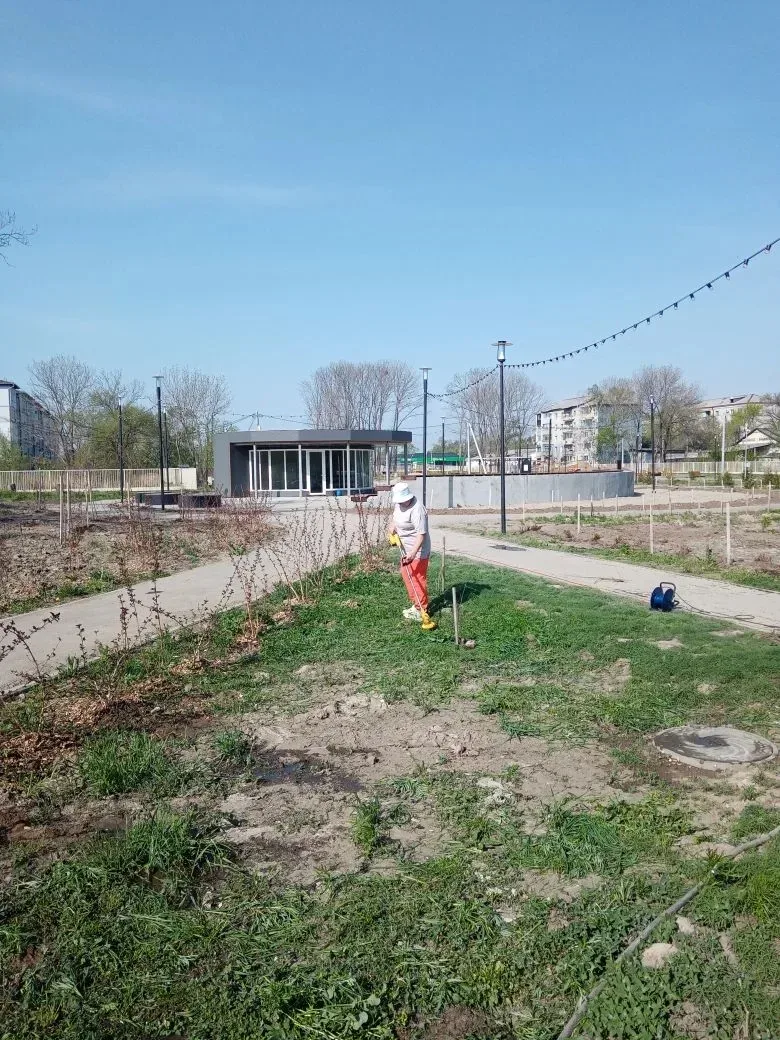 Город становится ярче  🌾 На улице Калининская (район магазинов «Махаон», «Кари» и площади «Центральн
