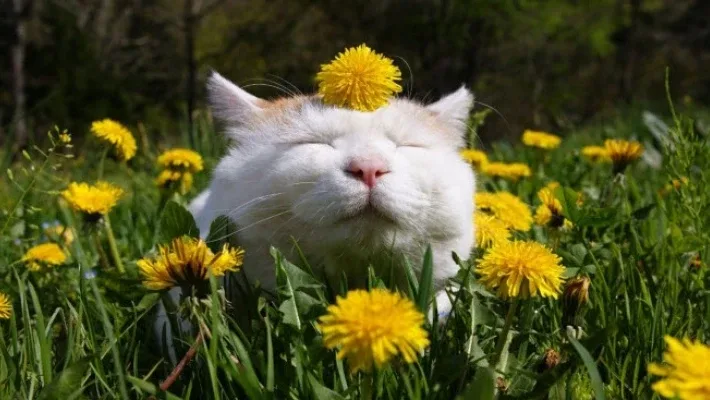 😊Отличных выходных, друзья!  Пусть выходные будут наполнены солнцем, красивыми моментами и хорошим н