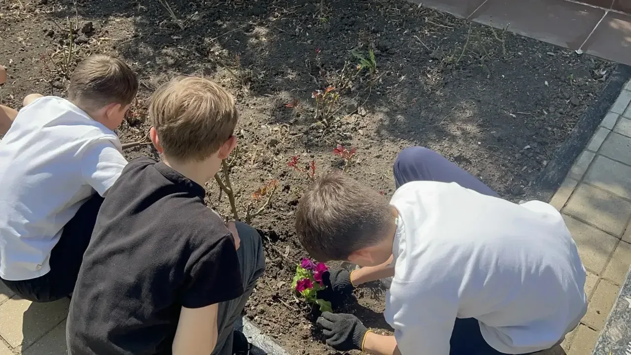 🌺 Память в сердце, забота в делах: «Алая гвоздика» в нашей гимназии  Наши обучающиеся приняли участи