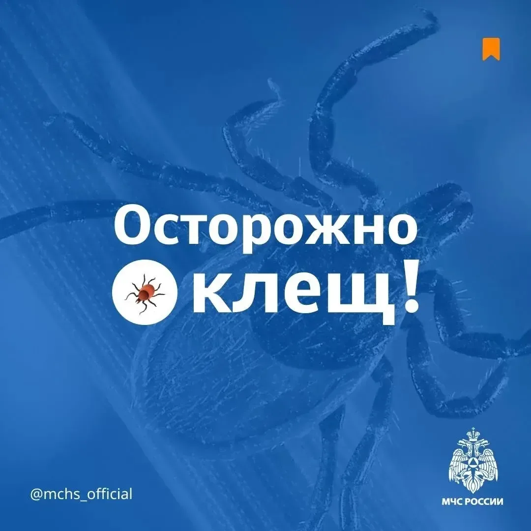 Уже 304 анжеросудженца обратились в пункт серопрофилактики после присасывания или проползания клеща.