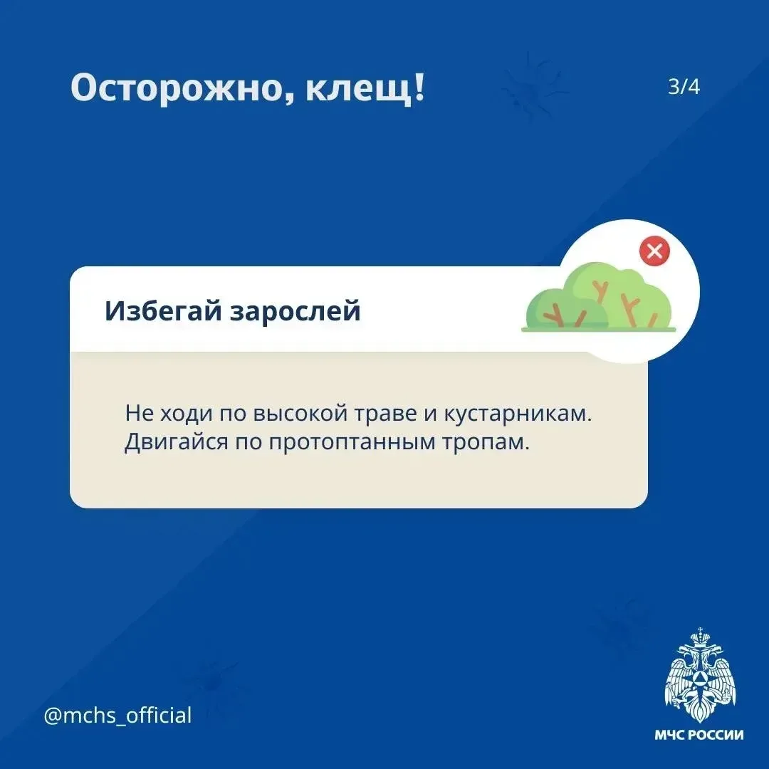 Уже 304 анжеросудженца обратились в пункт серопрофилактики после присасывания или проползания клеща.