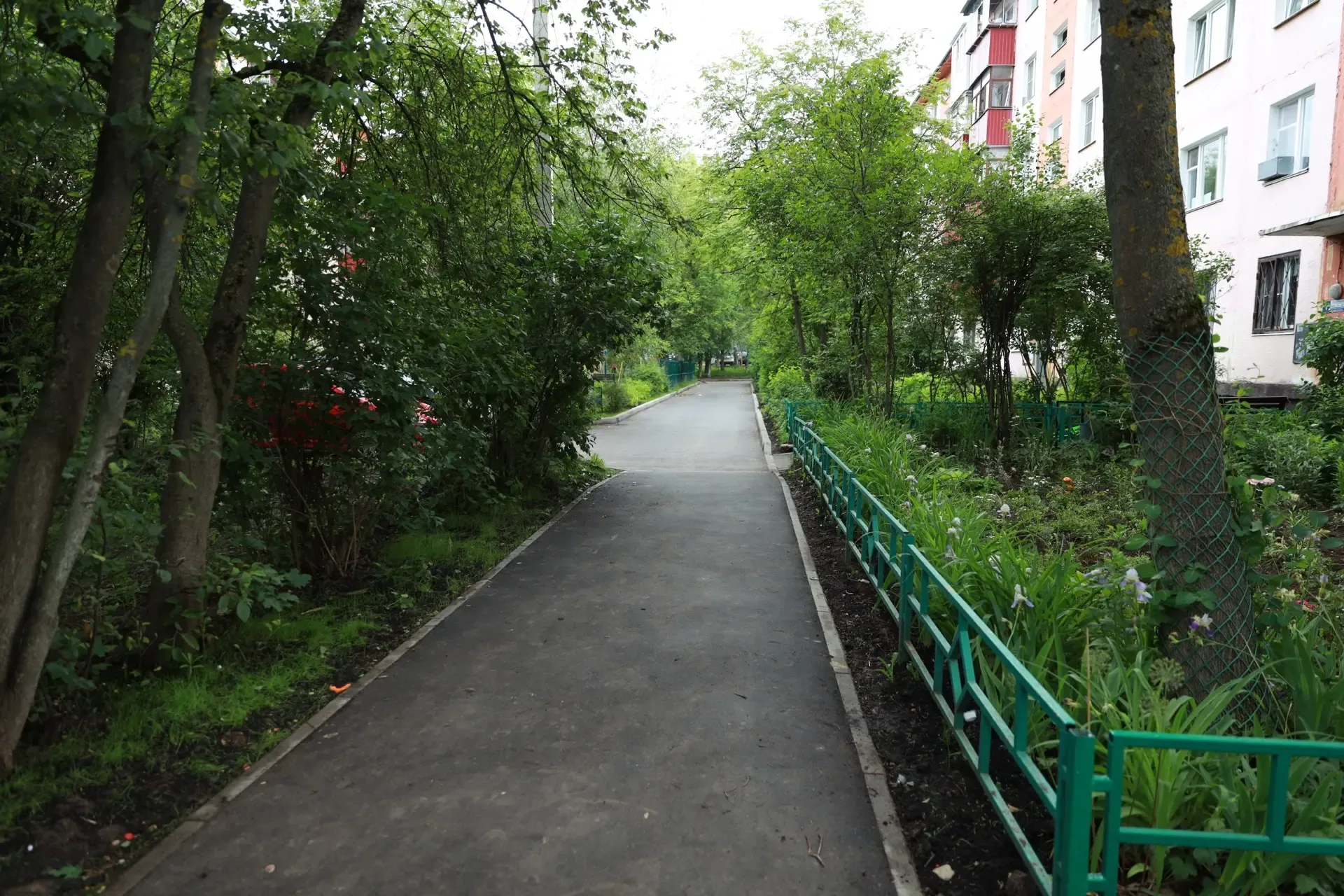 В Химках ведут работы по комплексному развитию территории Лунёвского   В Химках уделяют большое вним