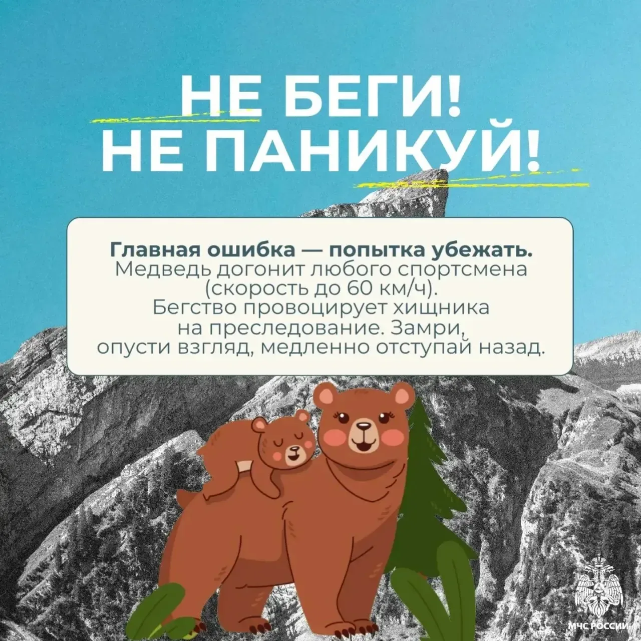 🐻Встреча с медведем - редкое, но крайне опасное событие  Оно способно застать врасплох любого турист