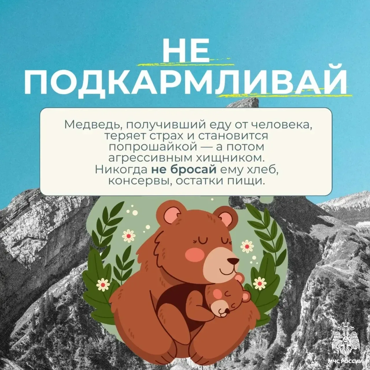 🐻Встреча с медведем - редкое, но крайне опасное событие  Оно способно застать врасплох любого турист