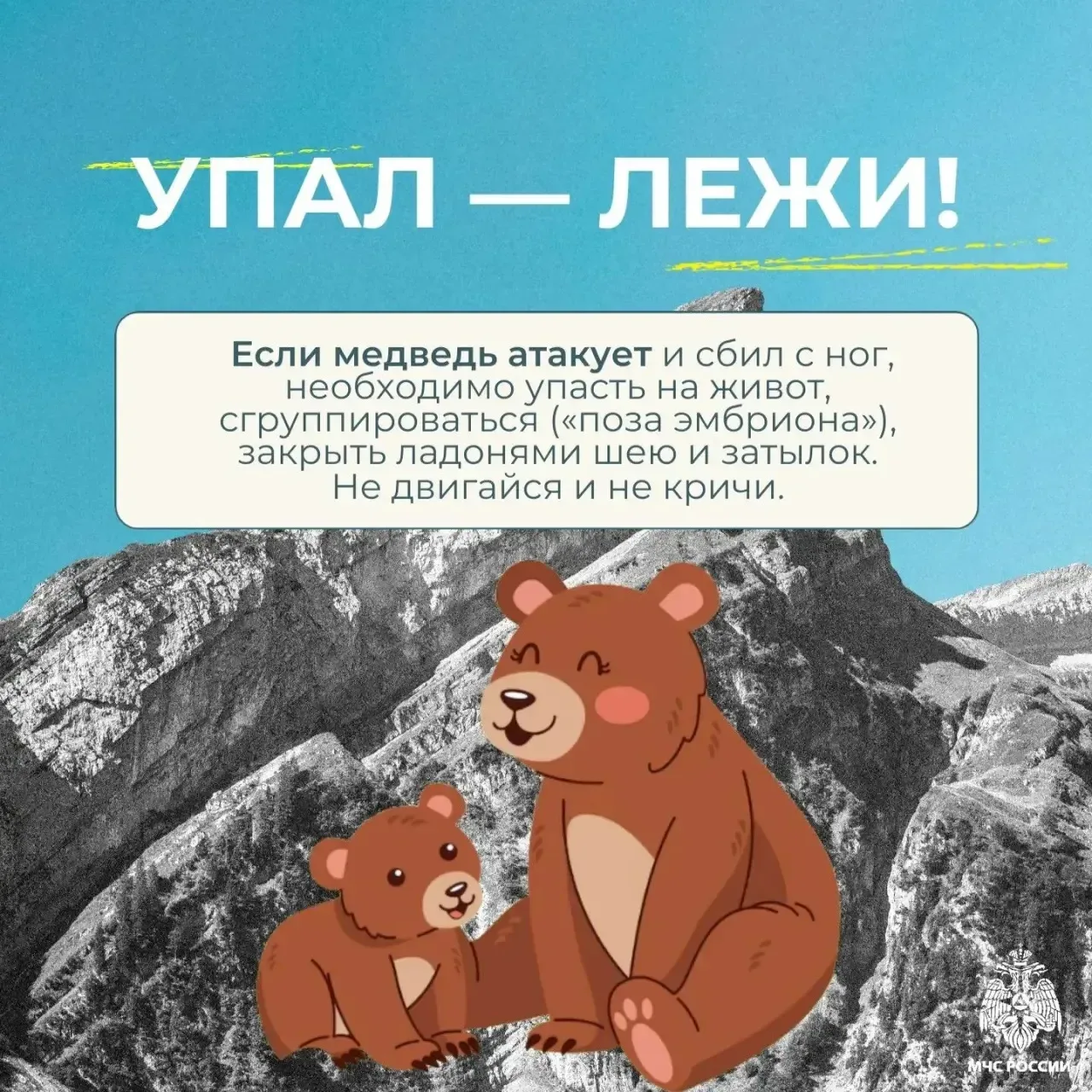 🐻Встреча с медведем - редкое, но крайне опасное событие  Оно способно застать врасплох любого турист