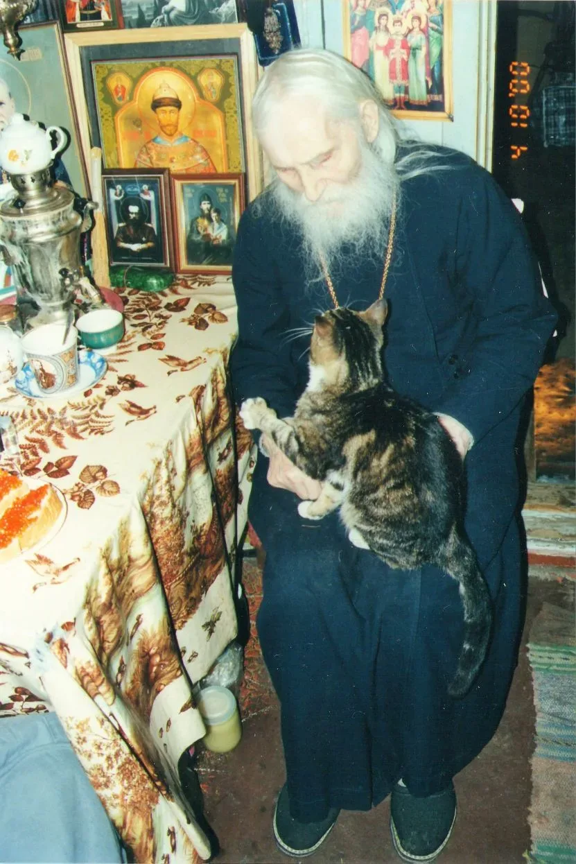 Есть святой, которому молятся о больных кошках. Его зовут Нектарий Оптинский — последний великий ста