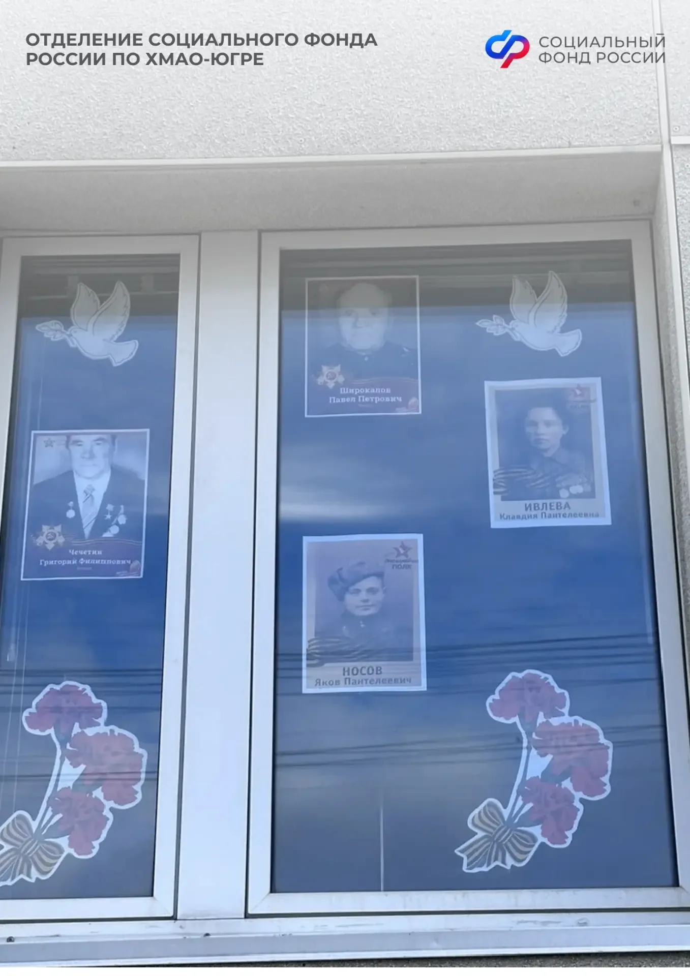 Сотрудники Отделения СФР по ХМАО-Югре поддержали акцию «Окна Победы» 🙏  К акции присоединились сотру