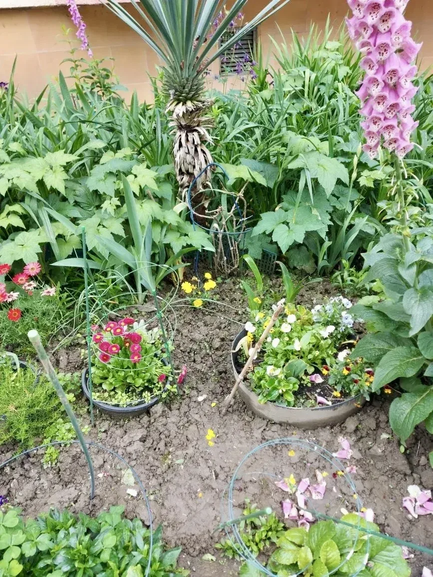 Красота начинается с дома! 🏡  Наши жители снова доказали: уют создаётся вместе 💚  У подъездов появил
