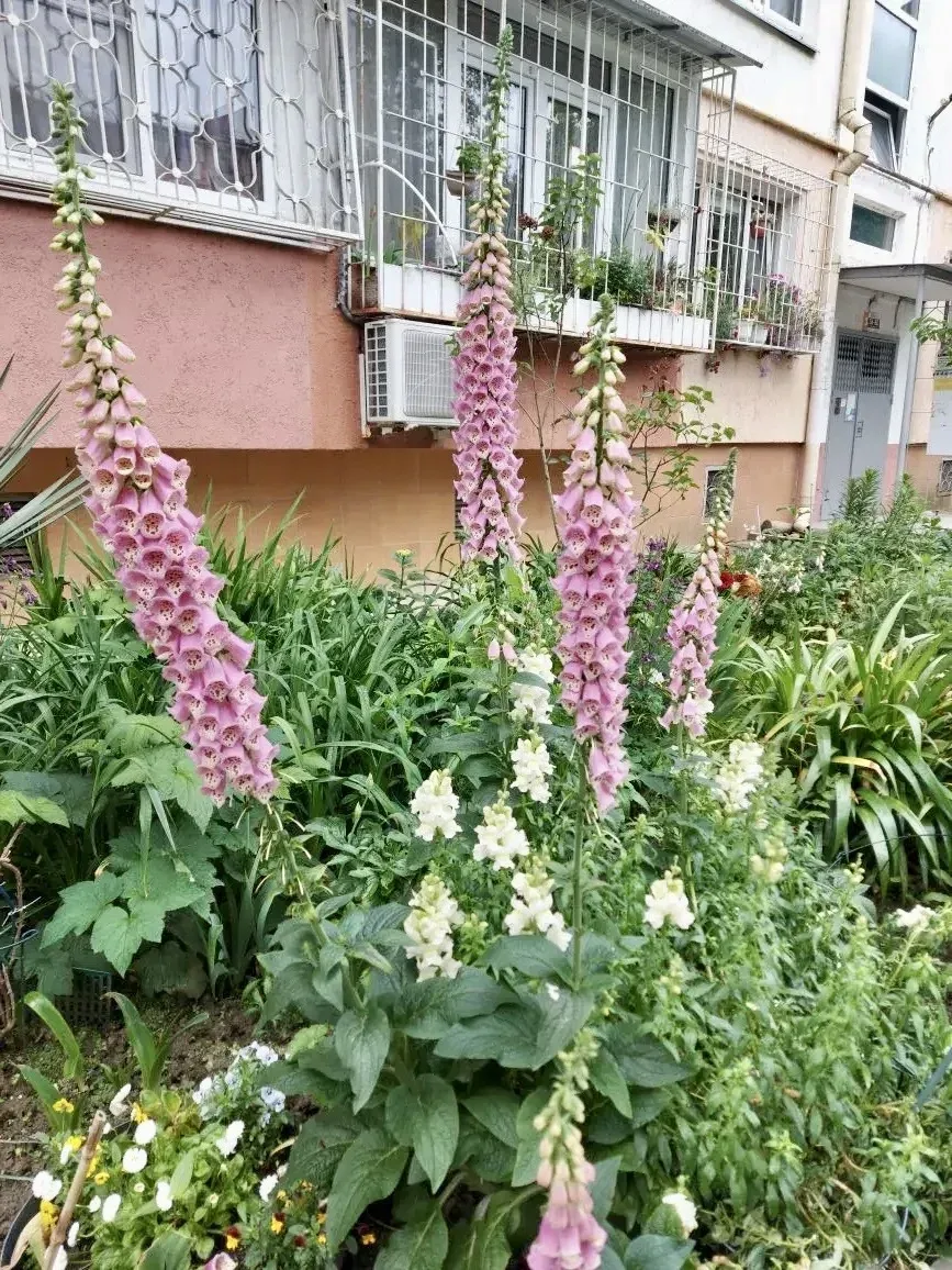 Красота начинается с дома! 🏡  Наши жители снова доказали: уют создаётся вместе 💚  У подъездов появил