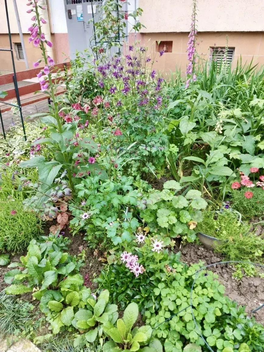 Красота начинается с дома! 🏡  Наши жители снова доказали: уют создаётся вместе 💚  У подъездов появил