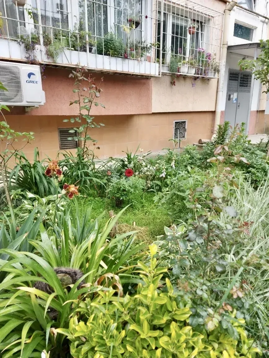 Красота начинается с дома! 🏡  Наши жители снова доказали: уют создаётся вместе 💚  У подъездов появил