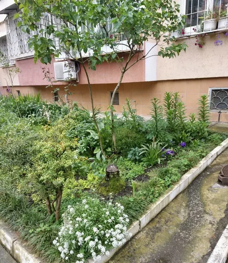Красота начинается с дома! 🏡  Наши жители снова доказали: уют создаётся вместе 💚  У подъездов появил