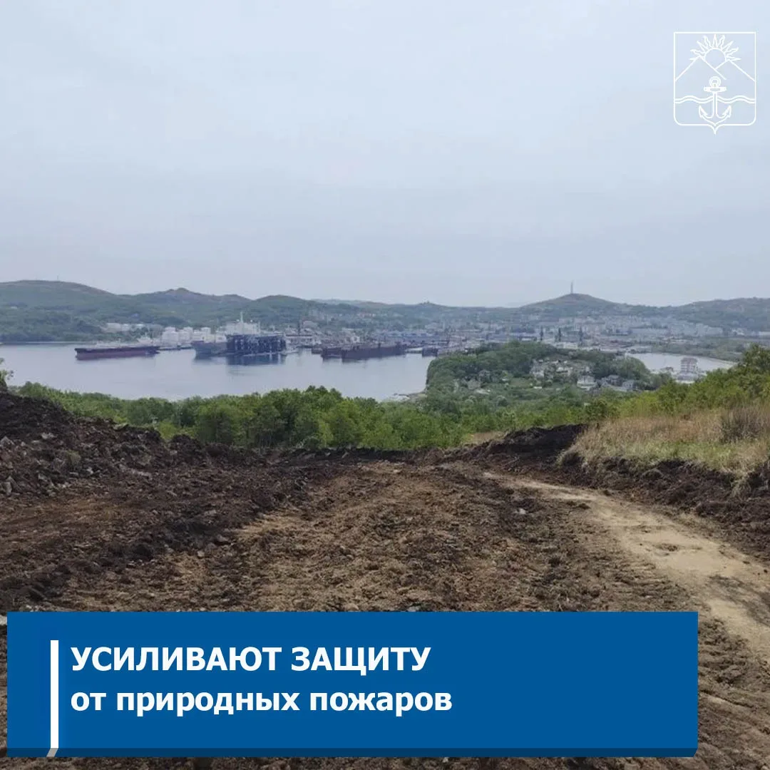 В Хасанском округе продолжают создавать новые и обновлять уже имеющиеся минерализованные полосы  Раб