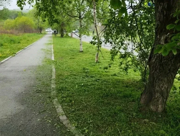 Продолжается покос травы в Славянке  Подрядная организация активизировала работы по покосу зеленой р