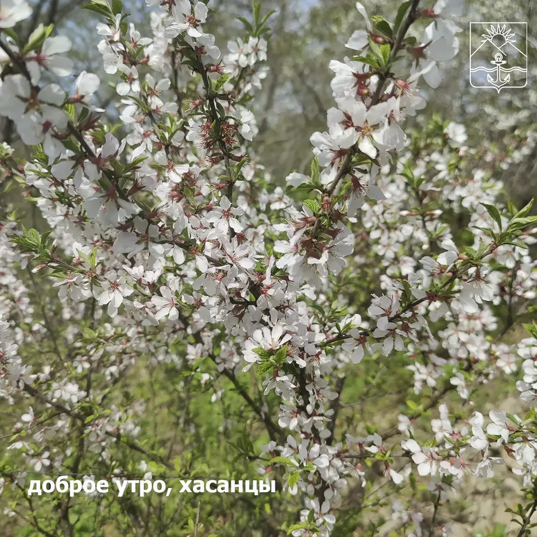 🌤Сегодня переменная облачность  🌙Ночью +6...+8°  🌟Днем +17...+19°  💨Ветер северный слабый с порывами