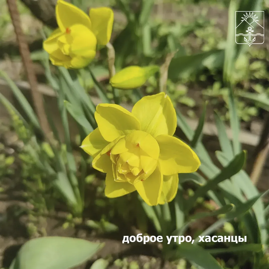 🌤Сегодня малооблачно  🌙Ночью +12°  🌟Днем +15...+17°  💨Ветер ЮВ легкий с порывами до 3 м/с.   🌤Завтра