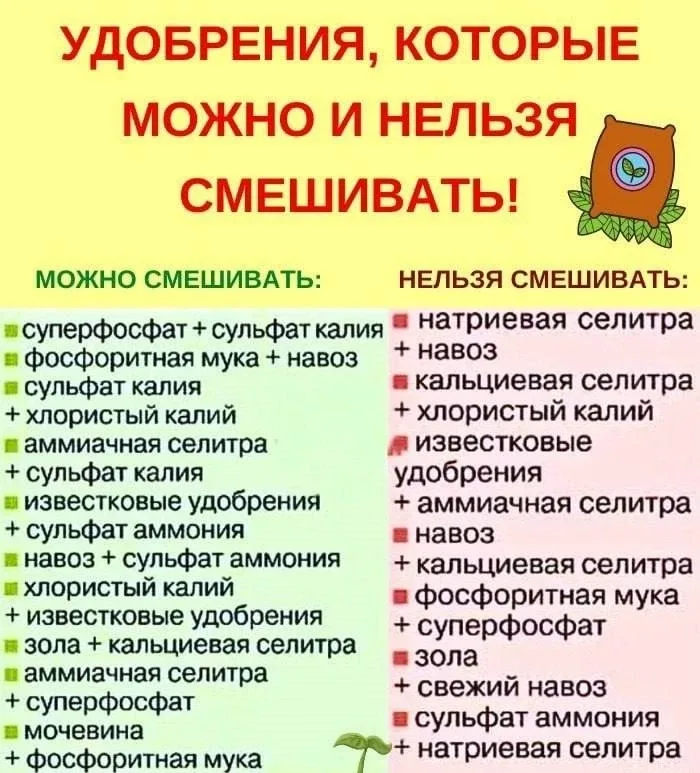 КАКИЕ УДОБРЕНИЯ МОЖНО И НЕЛЬЗЯ СМЕШИВАТЬ  Возьмите на заметку!